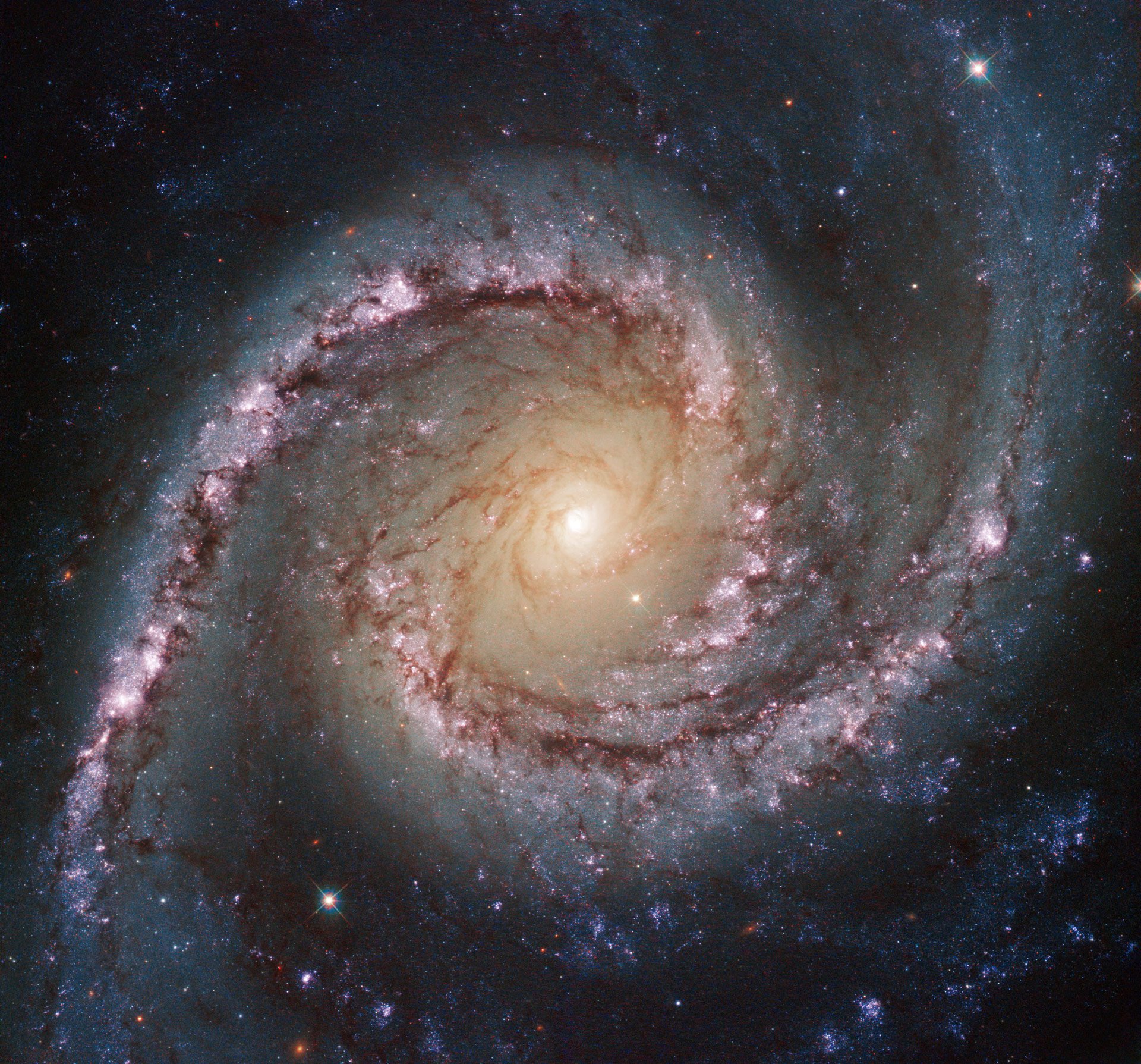 Hubble Views Intermediate Spiral Galaxy NGC 1566 Hubble Views Intermediate Spiral Galaxy NGC 1566