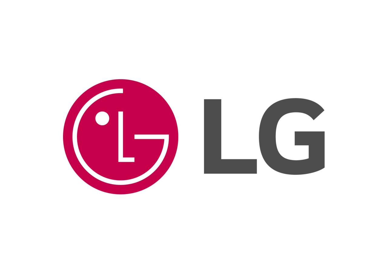 Lg flex